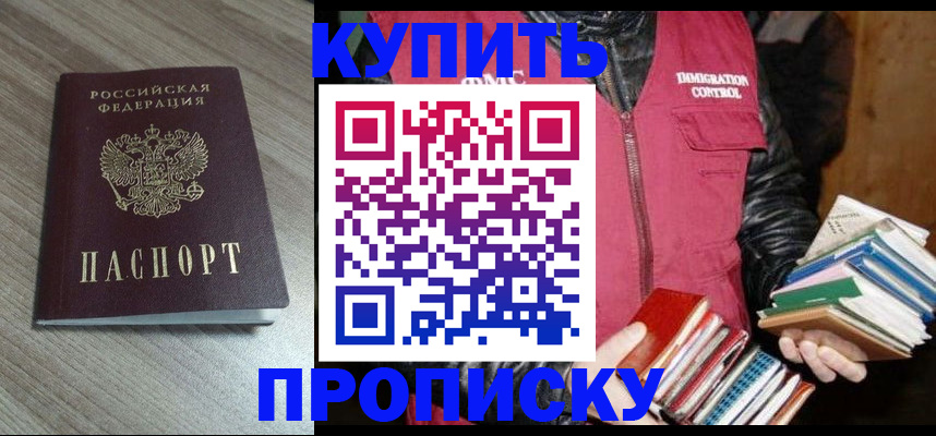 прописка 2025 в Камешково